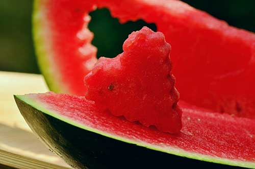 seedless watermelon