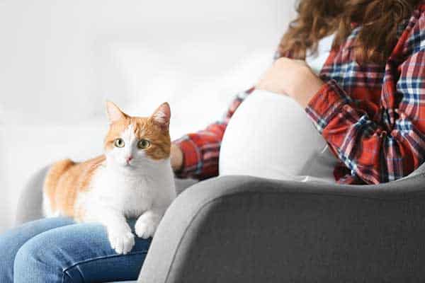 does your cat know when you are pregnant