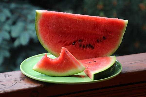 Why Do Cats Like Eating Watermelon?