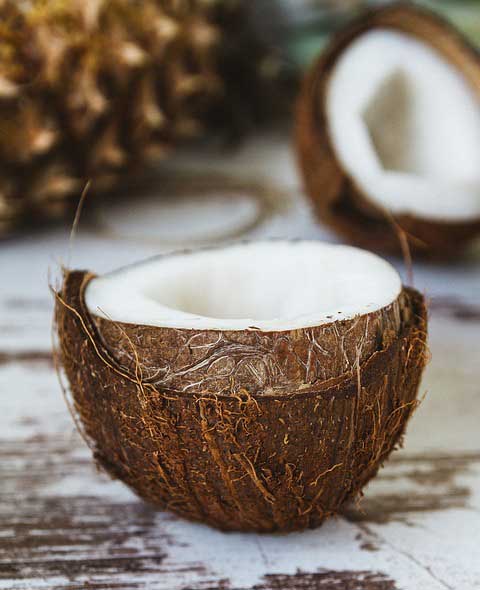 Can Cats Eat Coconut? How About Coconut Oil?