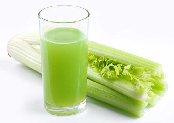 is celery poisonous to cats?