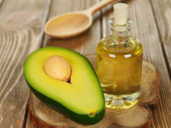 Avocado oil for cats