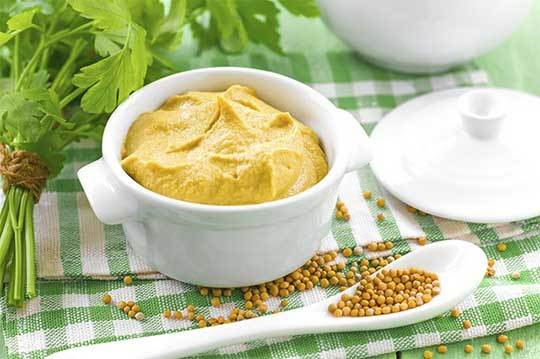 Health Benefits of Mustard For Cats