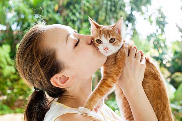what do cats think when we kiss them?