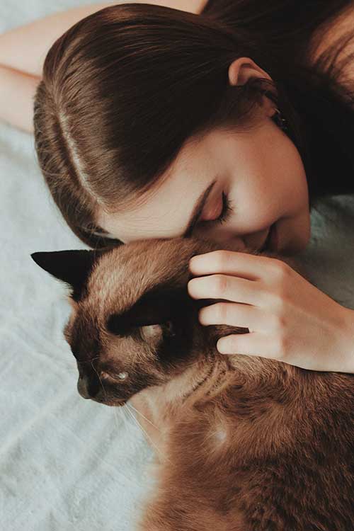 woman kissing her siamese cat