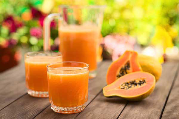 Can cats have papaya juice?