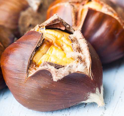 are chestnuts okay for cats?