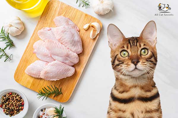 Benefits Of Chicken Wings For Cats